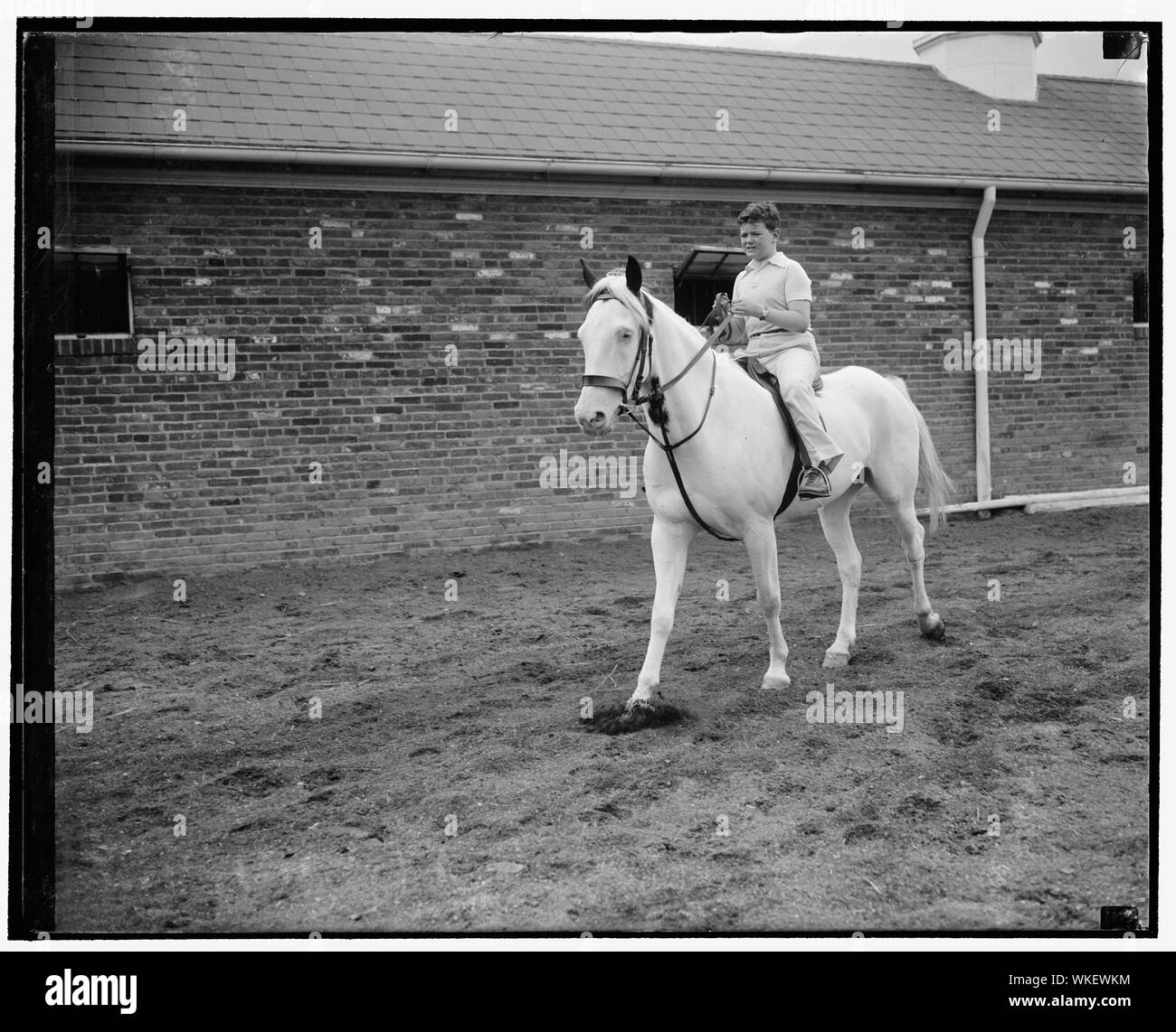 Jim Farley, Jr., Fahrten 1001 Ross zu Papa von Texas Freund präsentiert. Washington, D.C., am 29. Juni. James A. Farley, jr., von der Schule nach Hause für den Sommer, Heute fuhr zum ersten Mal die weißen arabischen Pferd 'Dynamite', die zu seinem Vater präsentiert wurde, PMG Farley, letzten Monat von Gene Howe, berühmten Amarillo, Texas Editor. PMG Farley später ein Geschenk des Pferdes zu Jim, jr. Stockfoto
