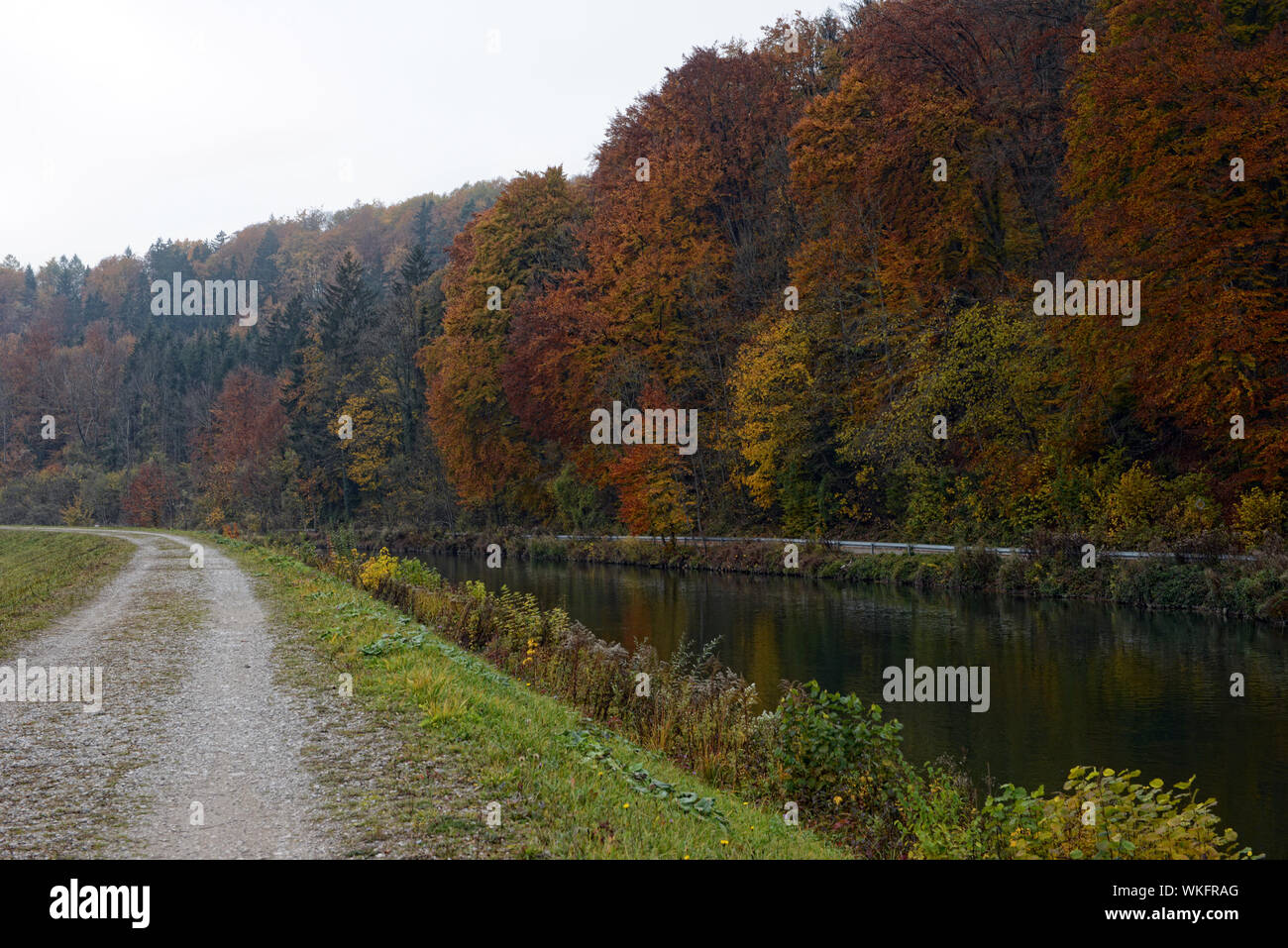 Straße von Fluss Isar gegen Bäume im Herbst Stockfoto