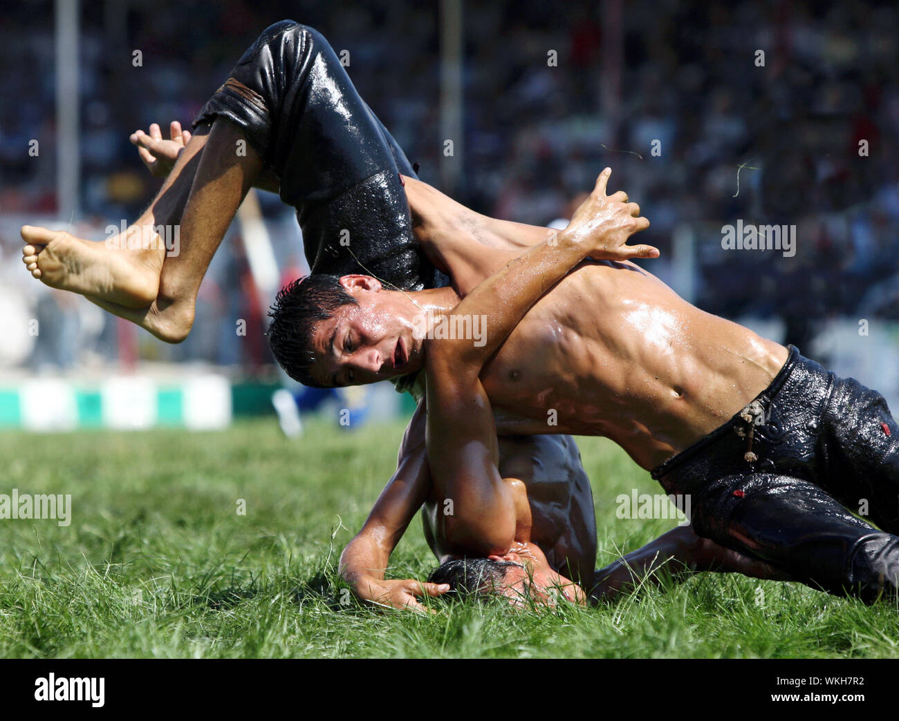 Türkisches Ölringen Stockfotos & Türkisches Ölringen Bilder - Alamy