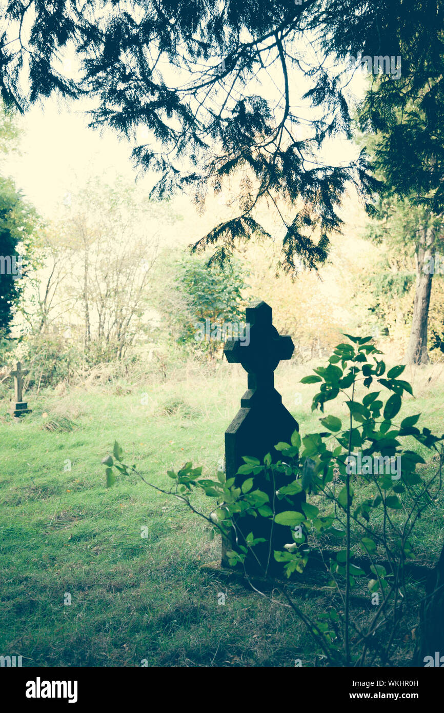 Grabsteine unter Bäumen in einem ländlichen Friedhof Stockfoto