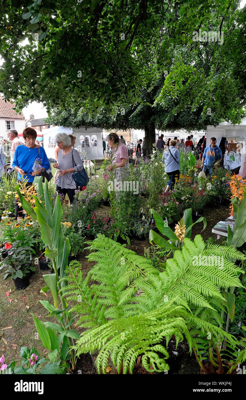 Anlage verkaufen in Burnham Market Handwerk Messe, North Norfolk, England Stockfoto