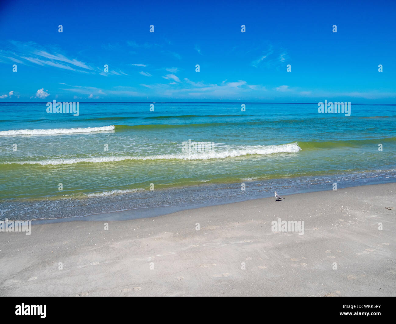 Golf von Mexiko Strand auf Longboat Key, Florida Stockfoto
