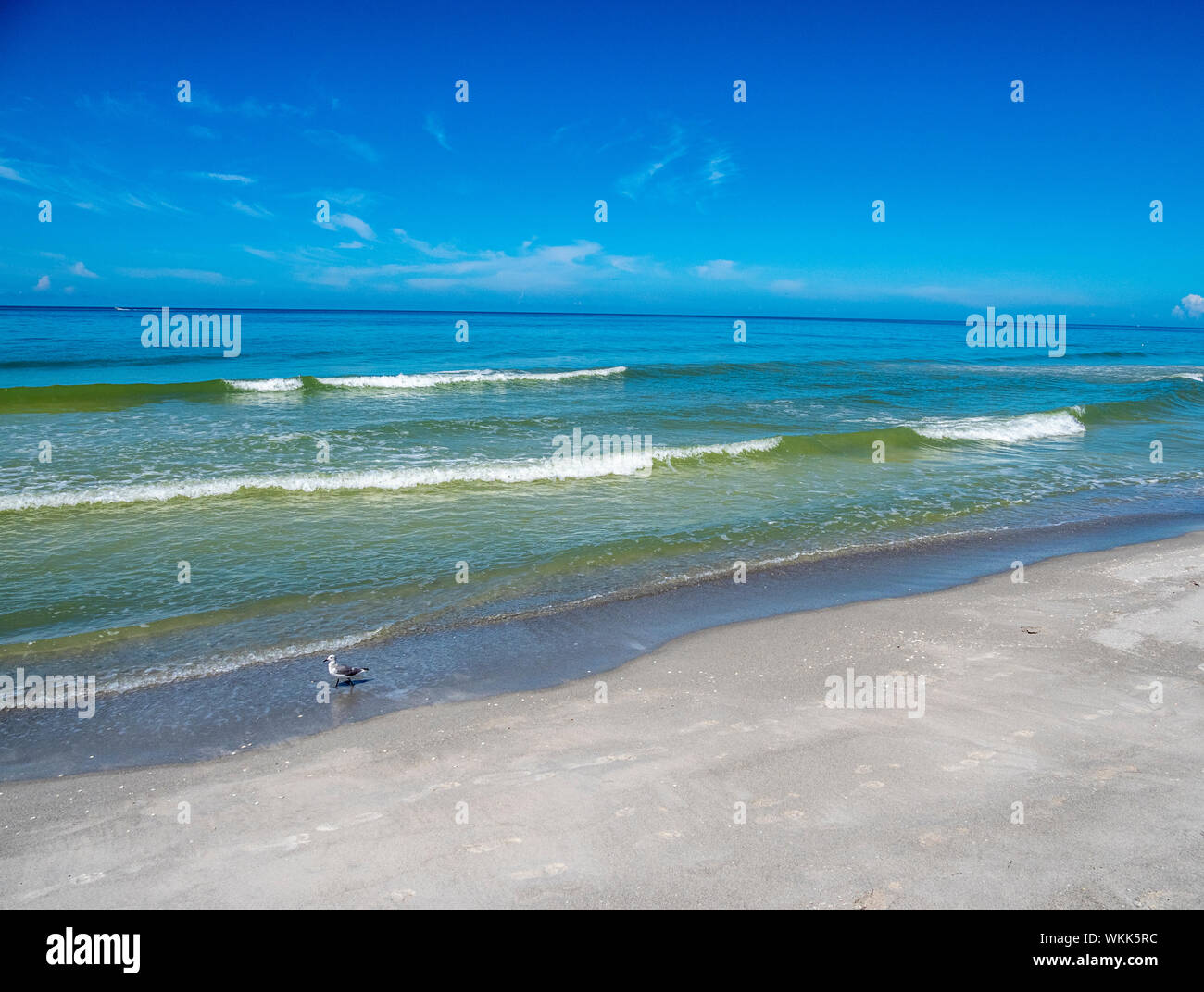 Golf von Mexiko Strand auf Longboat Key, Florida Stockfoto