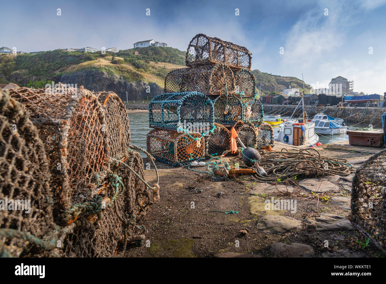 Hummer Töpfe auf den Hafen von Pettycur Bay, Kinghorn, Fife, Schottland Stockfoto
