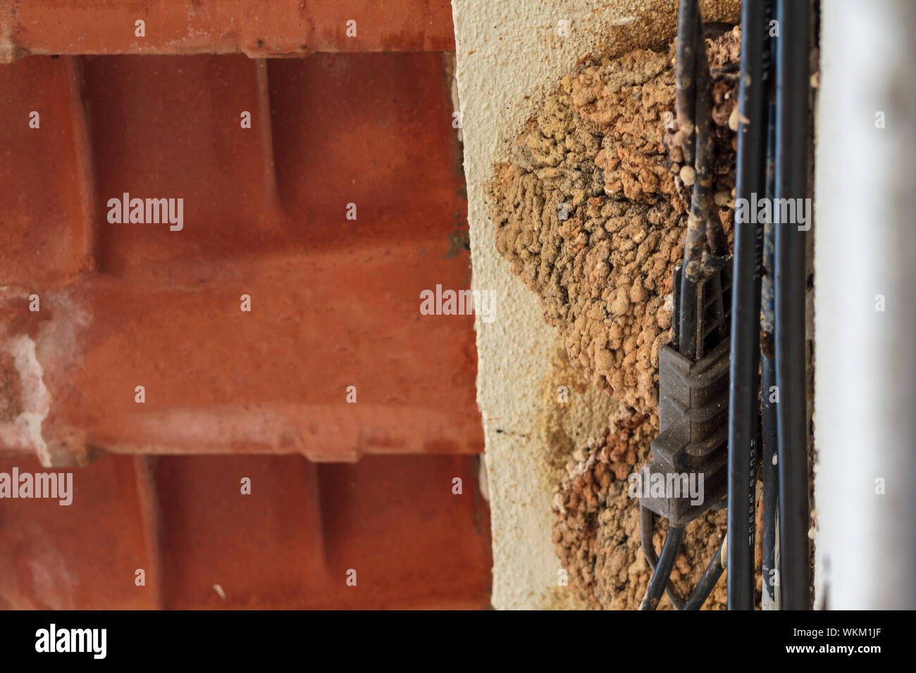 Schlucken Nester auf dem Dach Stockfoto