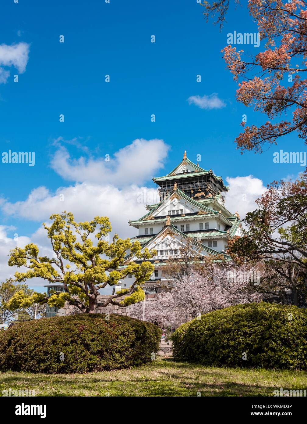 Burg von Osaka in Osaka Castle Park, Chuo-ku, Osaka, Japan Stockfoto