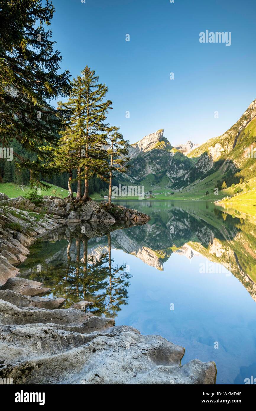 Berge reflektierten bei Sonnenaufgang im See Seealpsee, hinter Santis, Alpstein, Kanton Appenzell, Schweiz Stockfoto