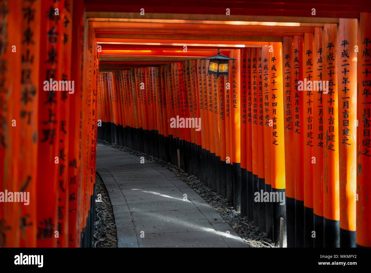 Fushimi Inari-Taisha, Shinto Schrein, Weg durch Hunderte von Roten traditionelle Torii Tore, Fushimi Inari-taisha Okusha Hohaisho, Kyoto, Japan Stockfoto