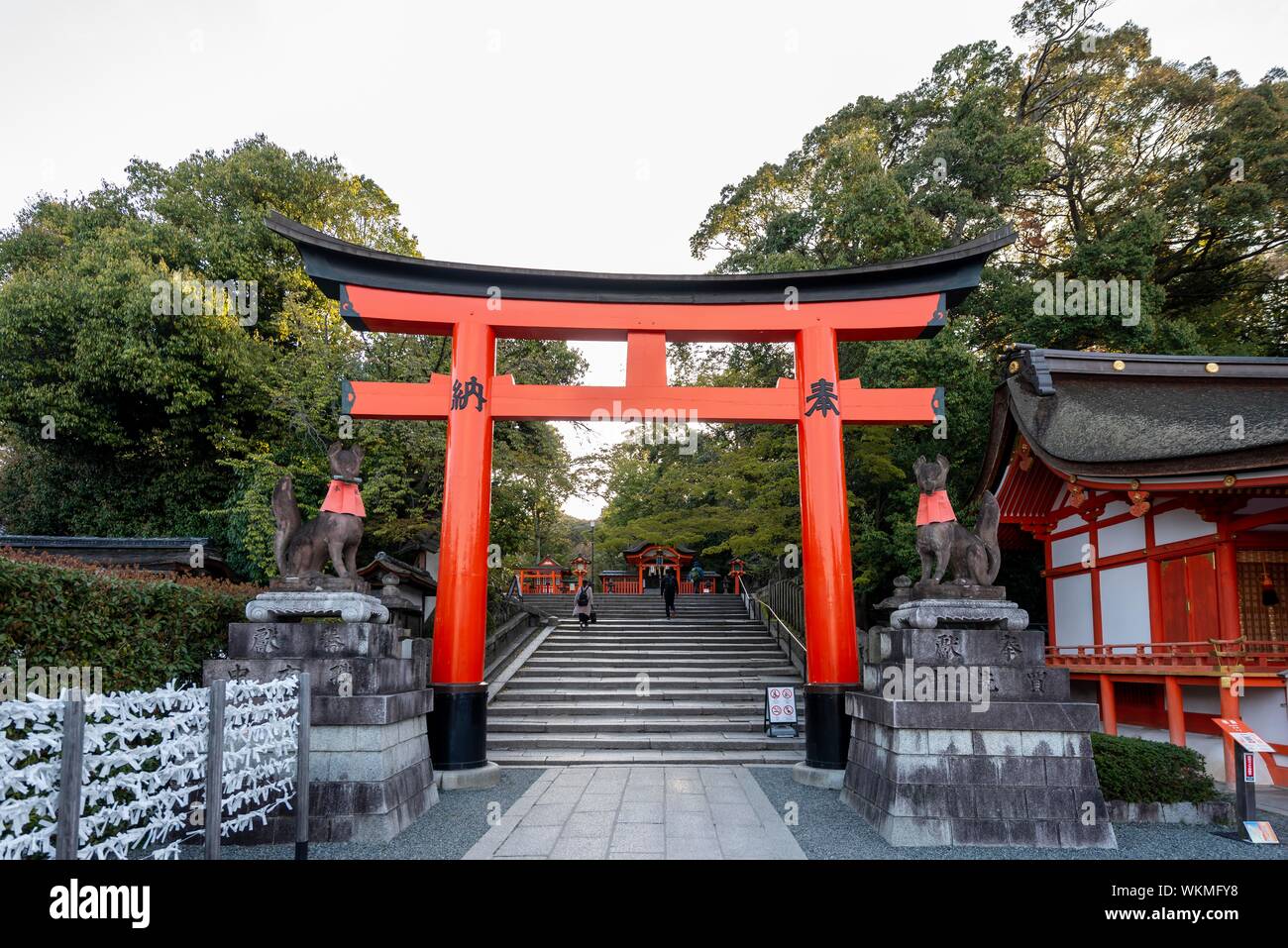 Fushimi Inari Taisha, Shinto Schrein mit Tori Tore, Fushimi Inari-taisha Okusha Hohaisho, Kyoto, Japan Stockfoto