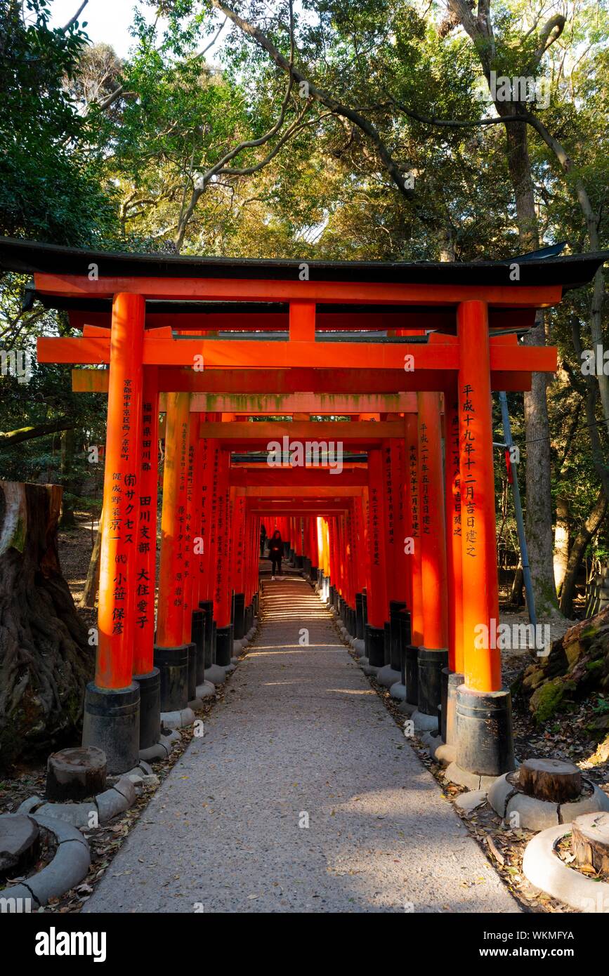 Fushimi Inari Taisha, Shinto Schrein, Weg durch Hunderte von Roten traditionelle Torii Tore, Fushimi Inari-taisha Okusha Hohaisho, Kyoto, Japan Stockfoto