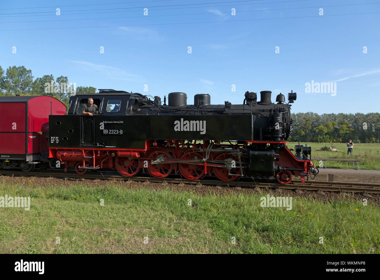 Dampfeisenbahn Molli, Wittenbeck, Mecklenburg-Vorpommern, Deutschland Stockfoto