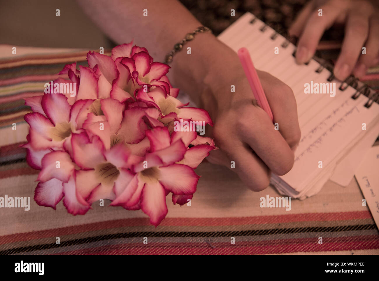 7/8 Hand Schreiben durch rosa Blüten auf dem Buch Stockfoto