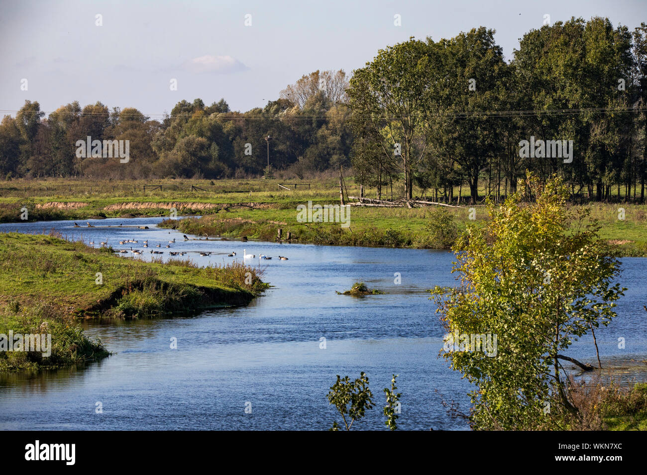 Die Steveraue in der Nähe von Olfen im Naturpark Hohe Mark Westmünsterland, Deutschland Stockfoto