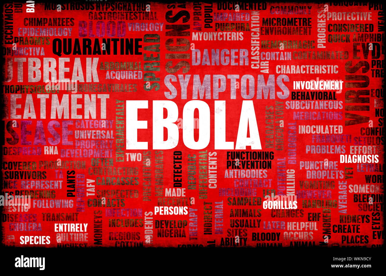 Ebola Stockfoto