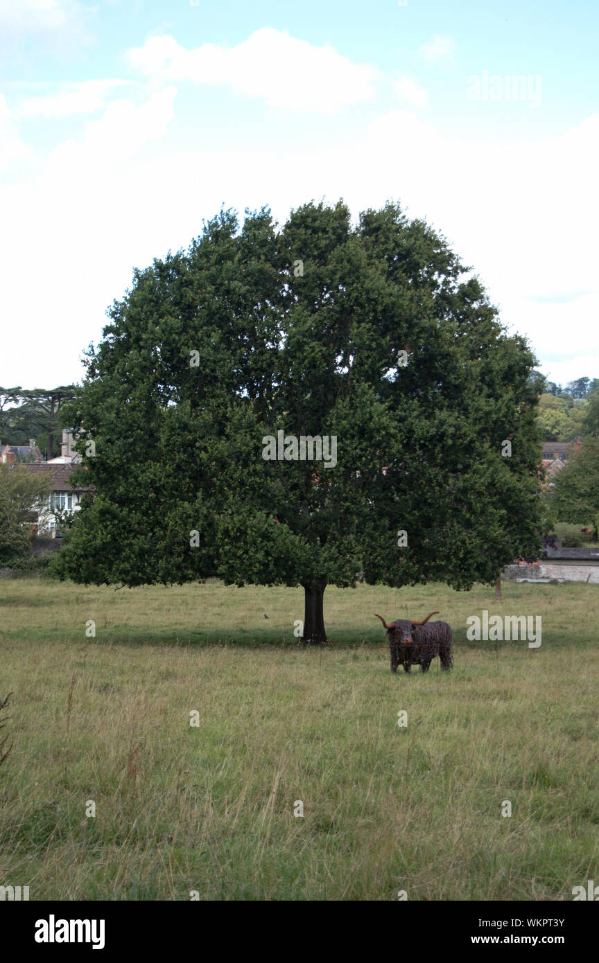 Baum mit Stierstatue vor Wells, Somerset, England Stockfoto
