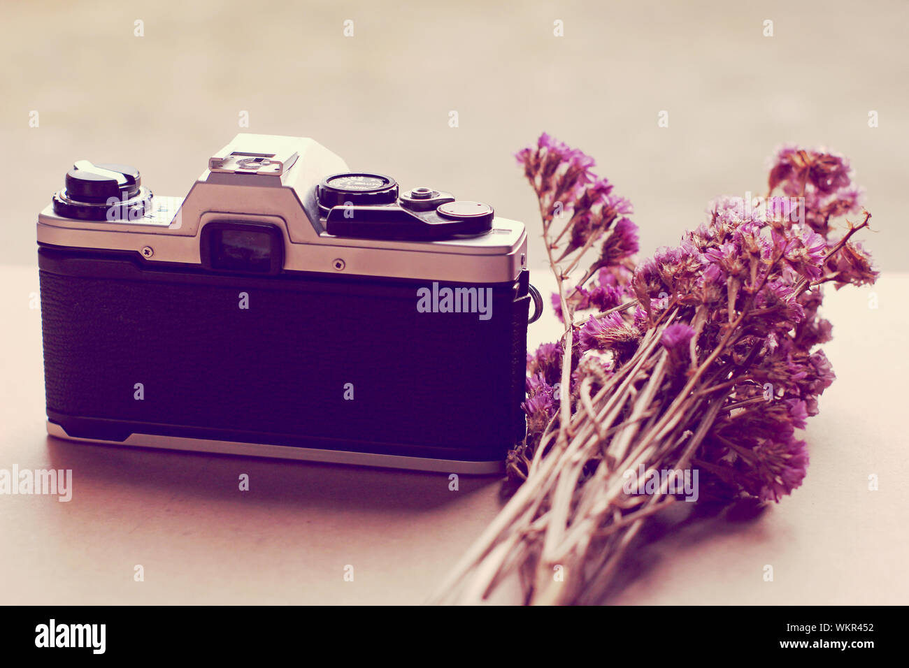 Alte Kamera und Blumen mit retro Filter Effekt Stockfoto
