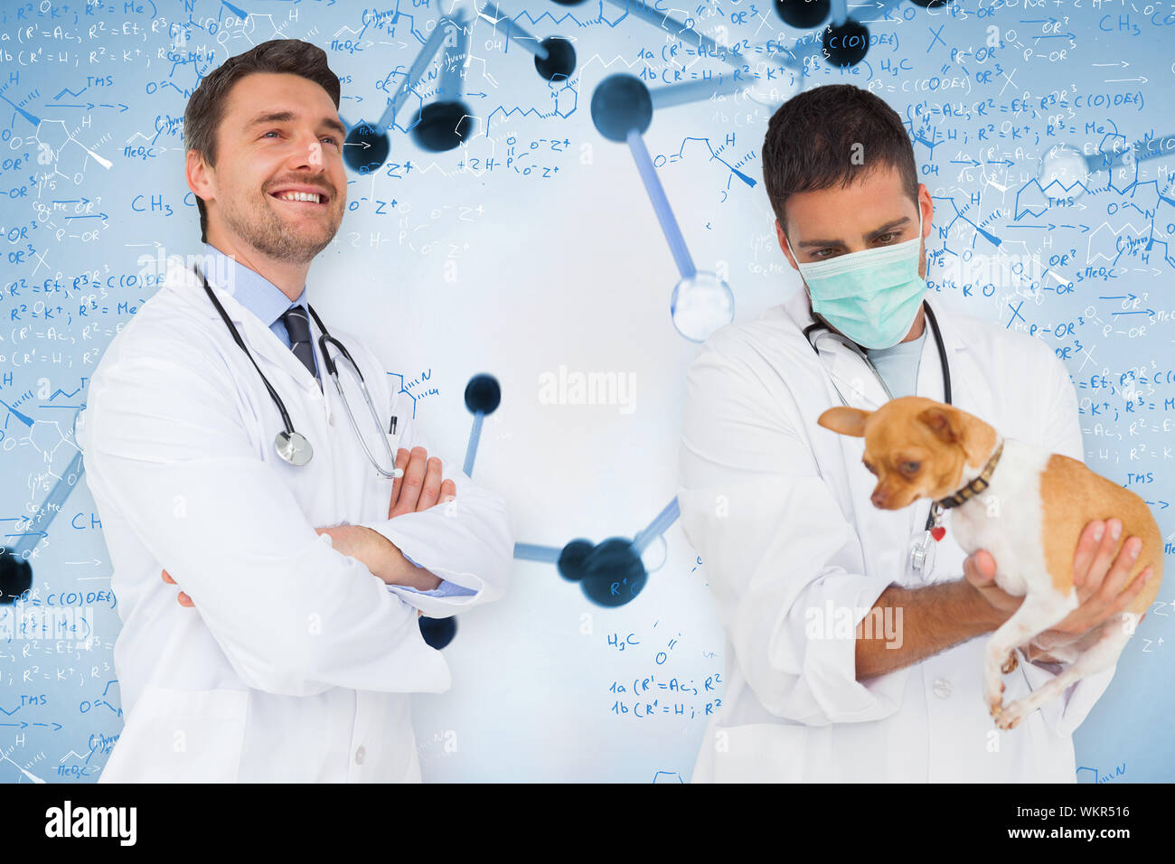 Das zusammengesetzte Bild der glücklichen Arzt und Tierarzt gegen Noten von Biotechnologie und Gene Stockfoto