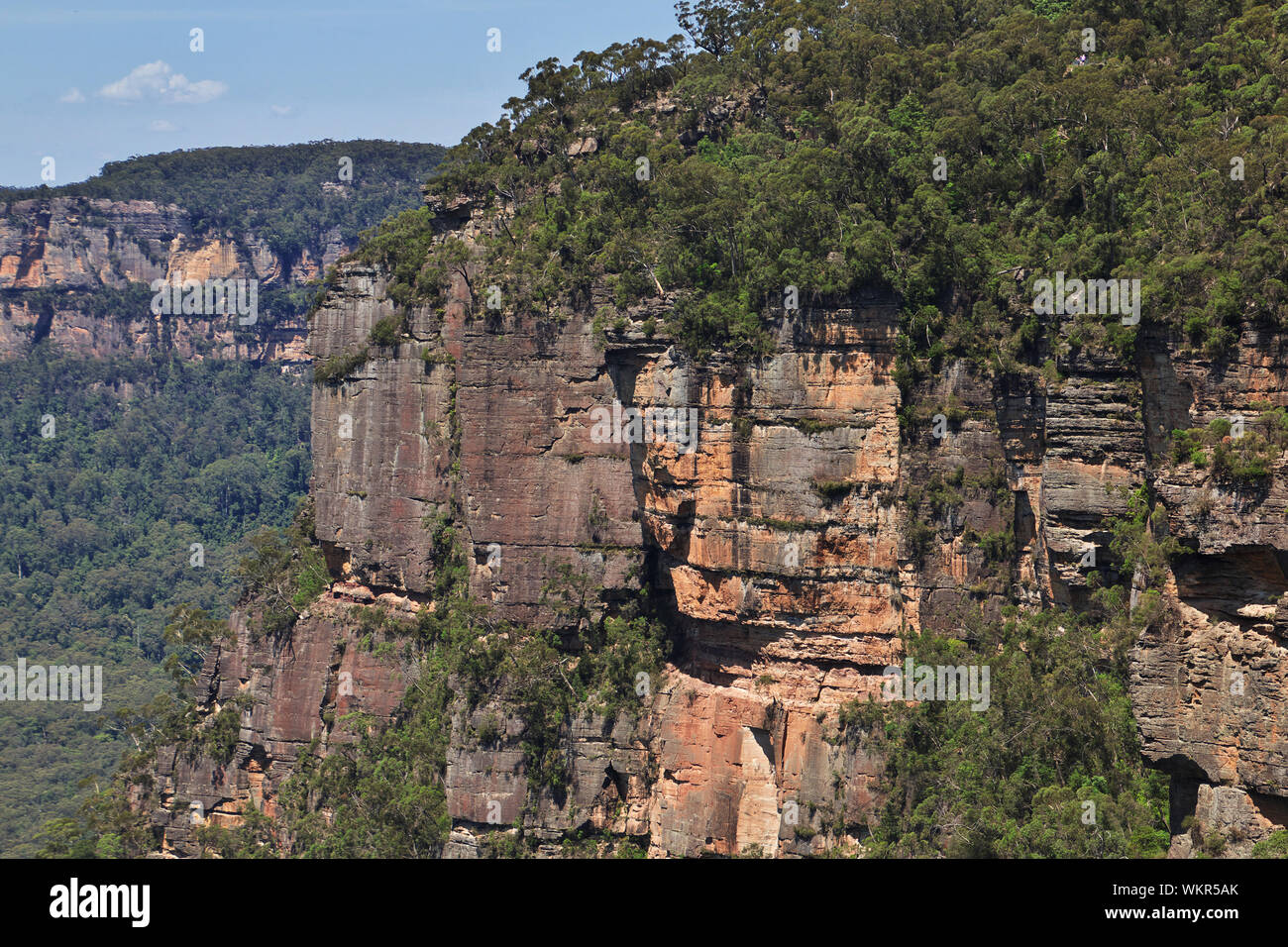 Blue Mountains National Park, Australien Stockfoto