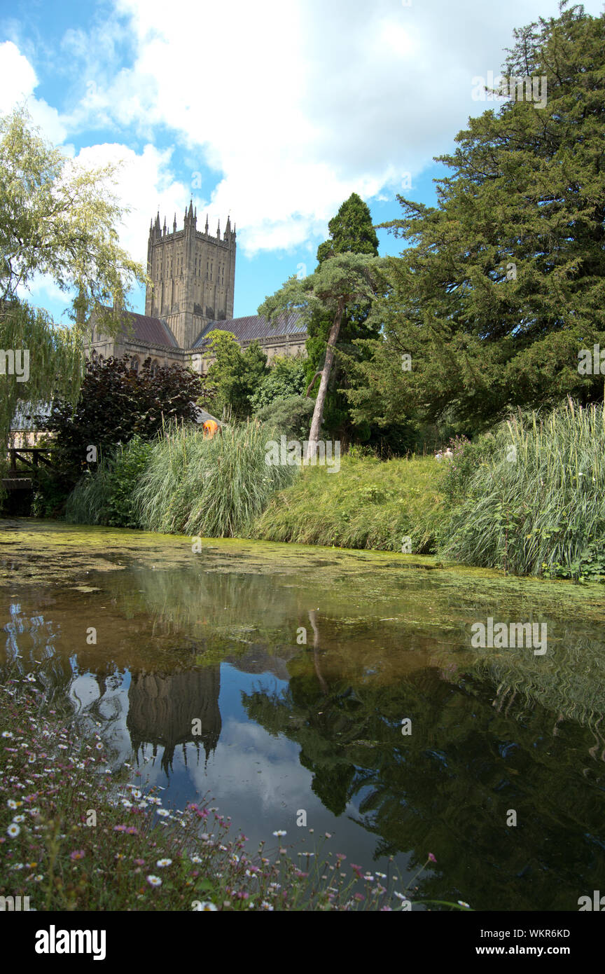 Ansicht von Wells Cathedral von Bishop's Palace, mit Pool Reflexion Somerset, England Stockfoto