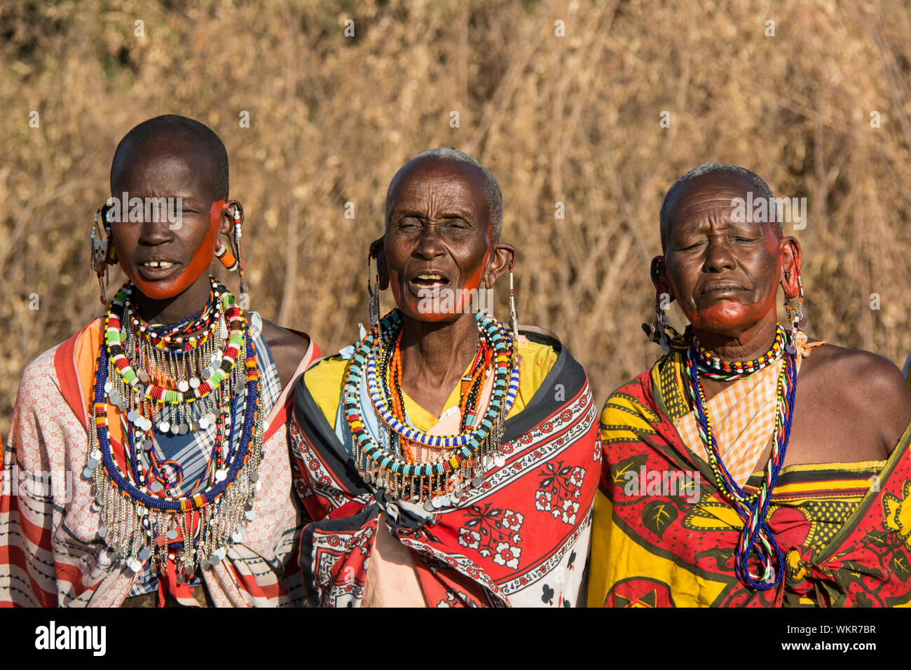 Drei Maasai Frauen tragen traditionelle Kangas und Schmuck, Halsketten, Ohrringe Singen in einem Dorf in der Nähe der Masai Mara, Kenia, Ostafrika Stockfoto