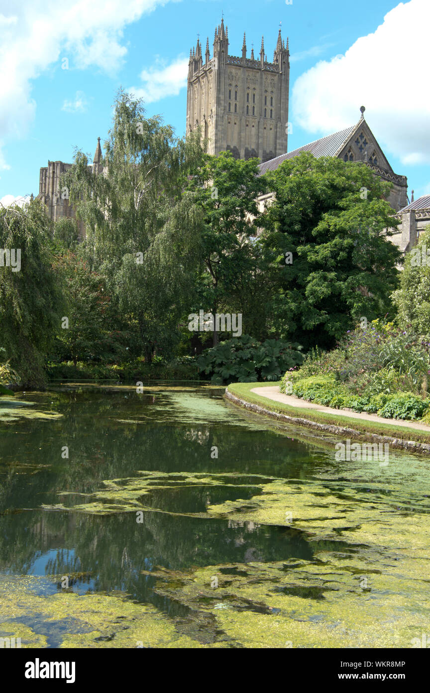 Wells Cathedral von Bishop's Palace, Wells, Somerset, England Stockfoto