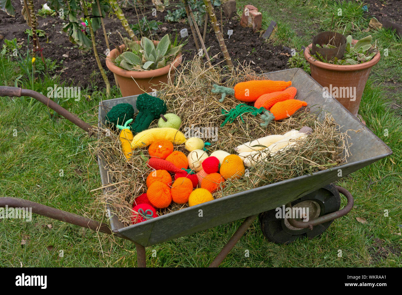 Gestrickte Obst und Gemüse in einem Metall Schubkarre, Teil einer Anzeige in einem Englischen Garten, öffnen Sie unter den Nationalen Garten Sceme Stockfoto