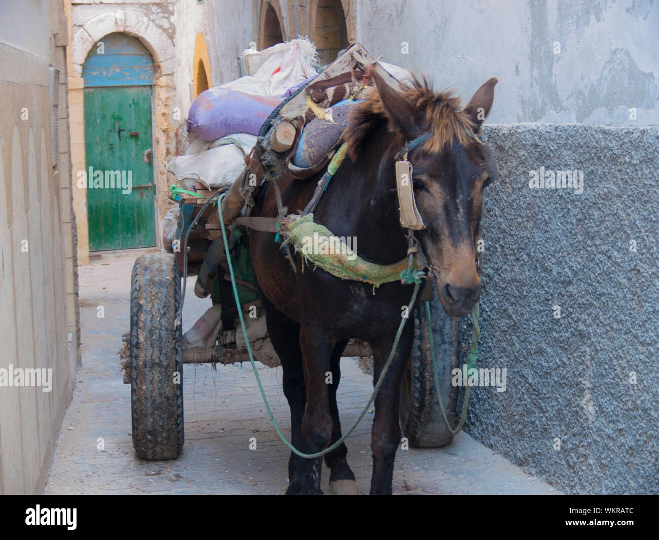 Cart Donkey Heavy Stockfotos Cart Donkey Heavy Bilder Alamy