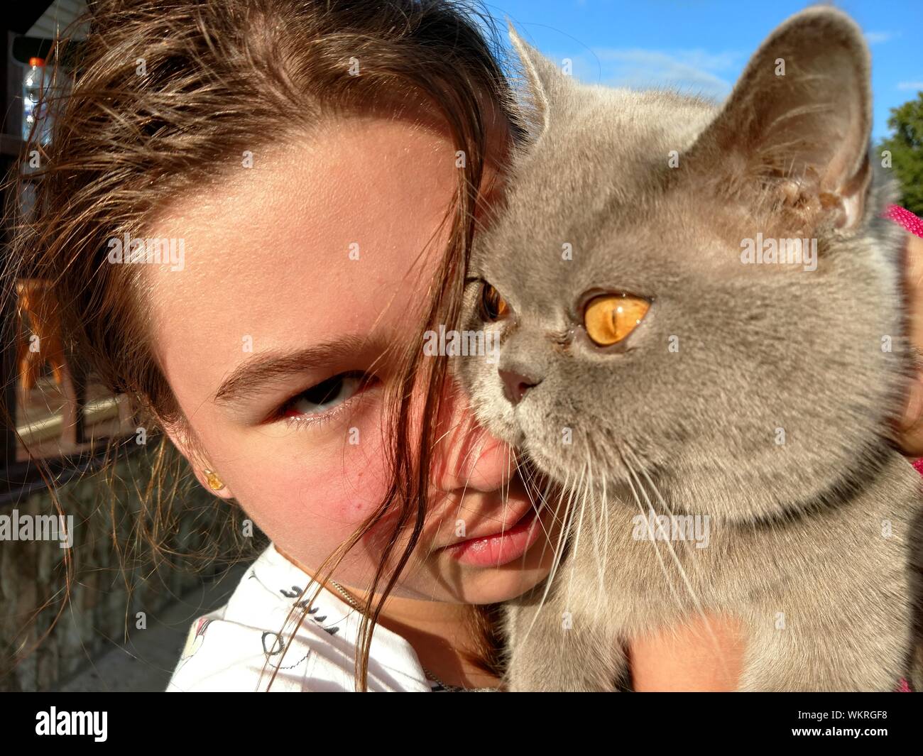 Portrait von Mädchen im Teenageralter, die Britisch Kurzhaar Katze im Freien Stockfoto