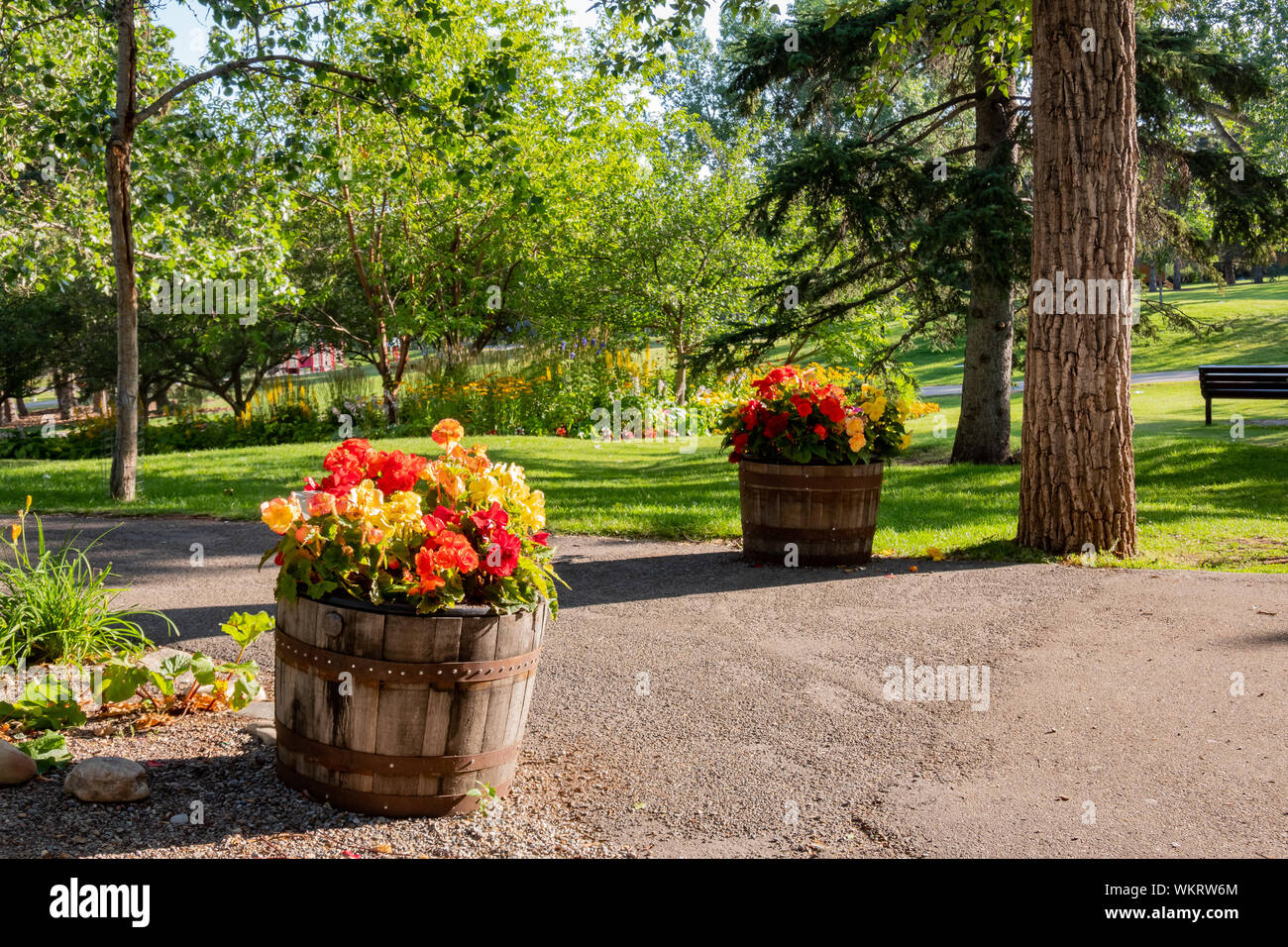 Schöne Landschaft rund um Prince's Island Park in Calgary, Kanada Stockfoto