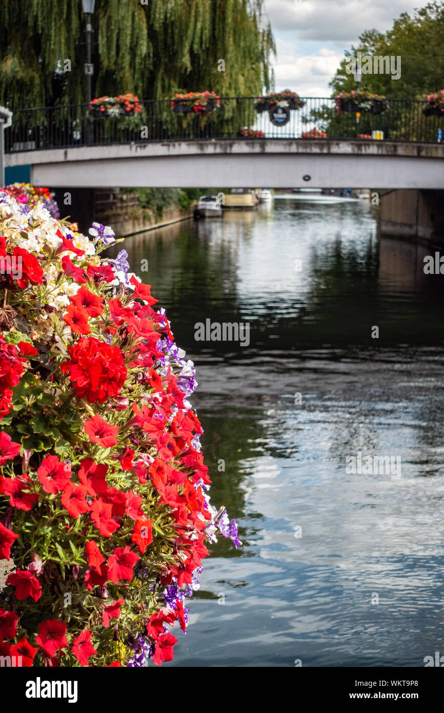 Hängende Körbe über den Fluss Lea und Straßenbrücke am Saracens Head, Bridge Foot, Ware, Stockfoto