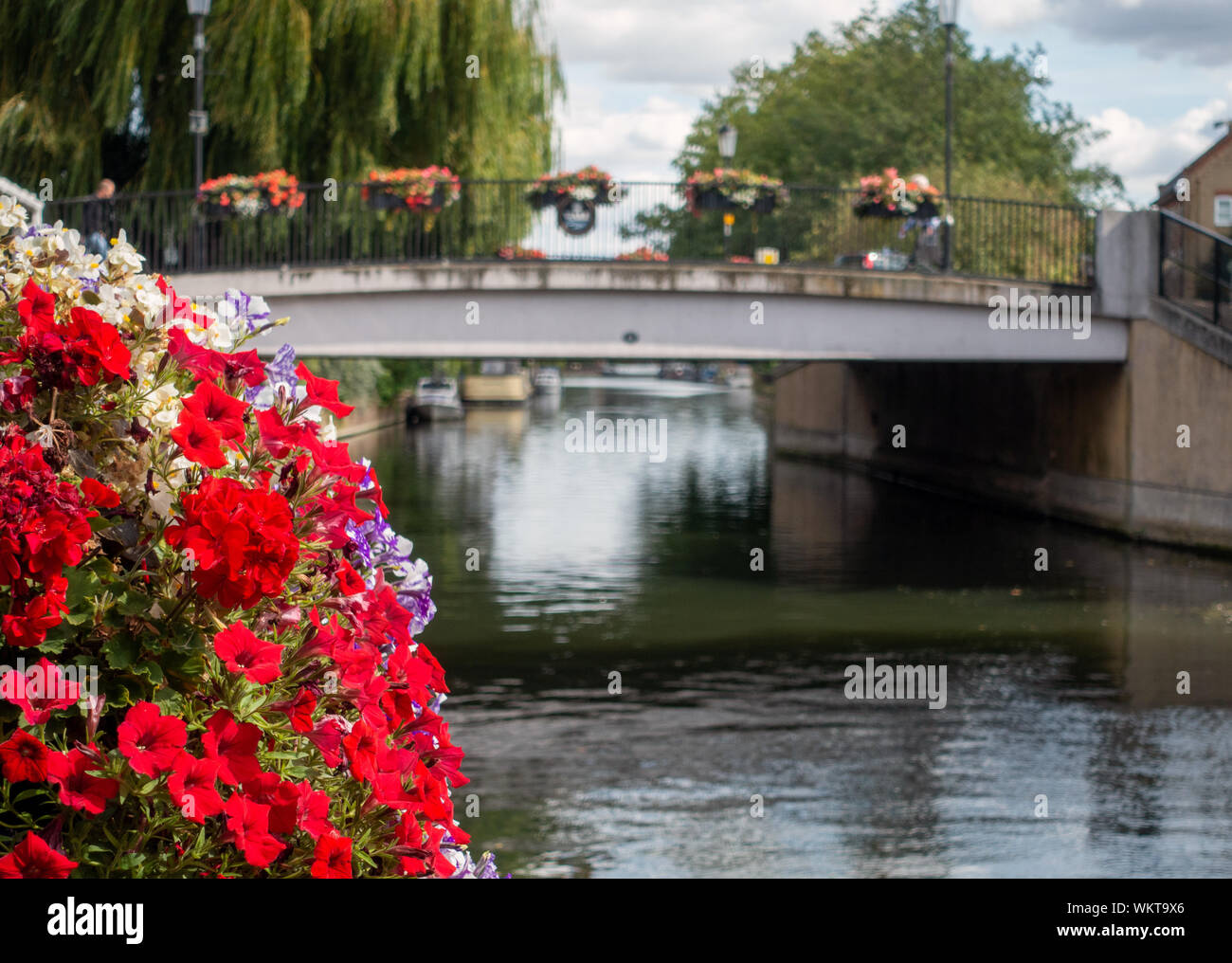 Hängende Körbe über den Fluss Lea und Straßenbrücke am Saracens Head, Bridge Foot, Ware, Stockfoto