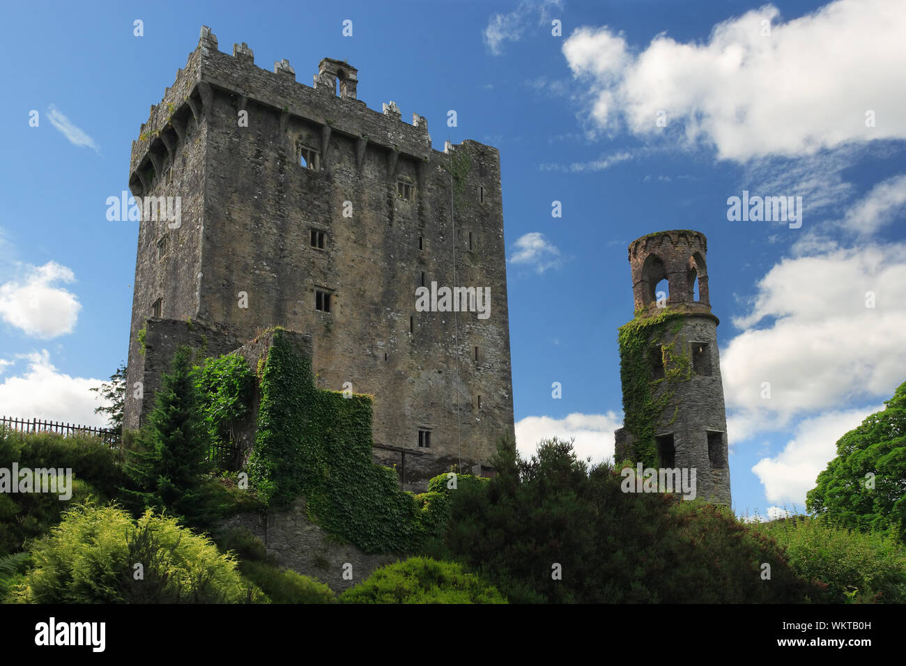 Blarney Castle in Irland Stockfoto