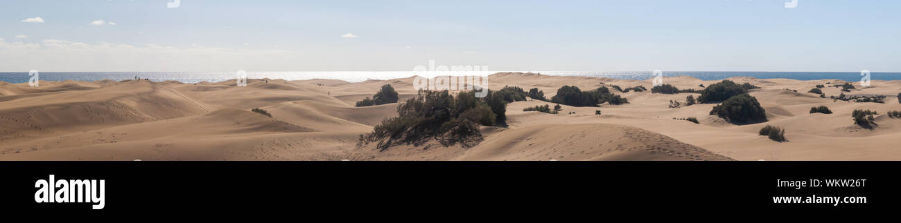 Panoramablick auf die Dünen von Playa del Ingles Stockfoto