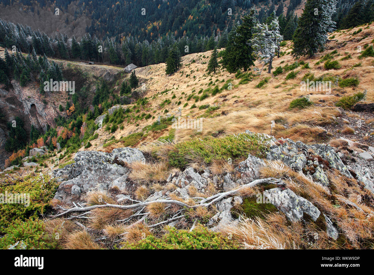 Malerische Aussicht auf die Berge der Karpaten Stockfoto