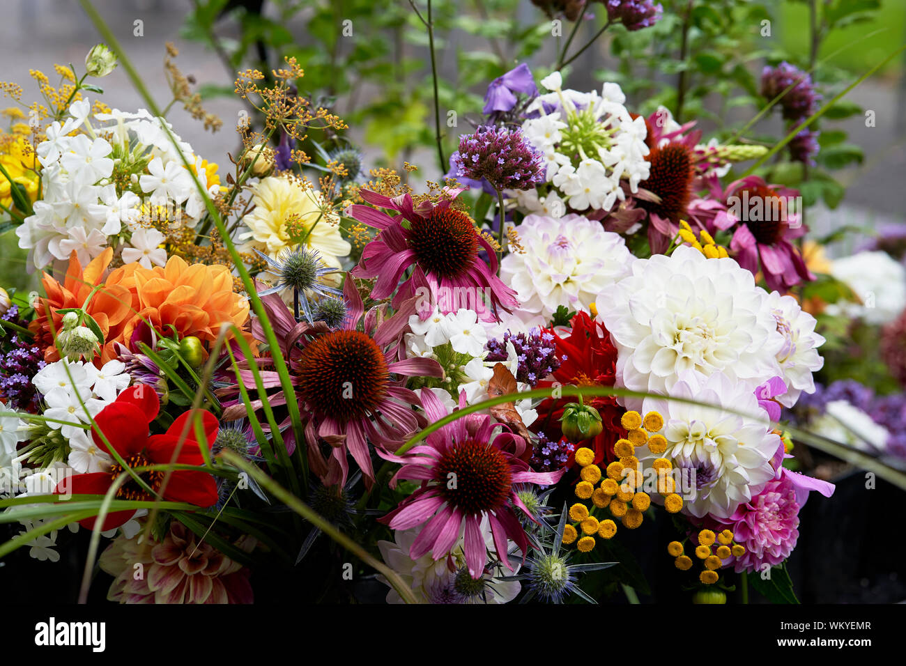 Nahaufnahme von Schnittblumen für den Verkauf verfügbar Stockfoto