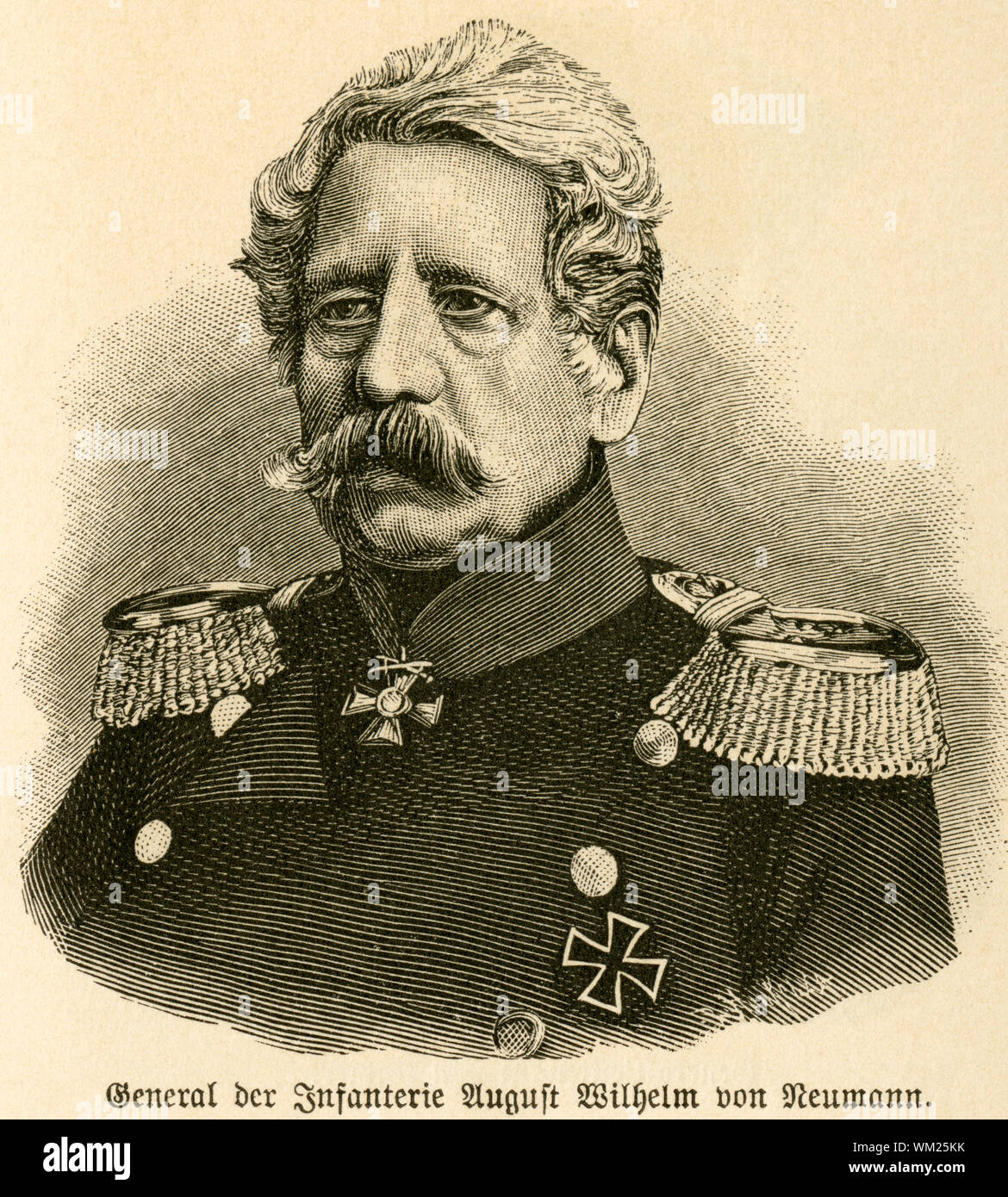 August wilhelm von neumann cosel Fotos und Bildmaterial in hoher