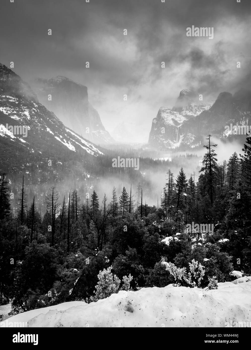 Wintersturm Clearing Yosemite Valley. DNG in Schwarz und Weiß Stockfoto