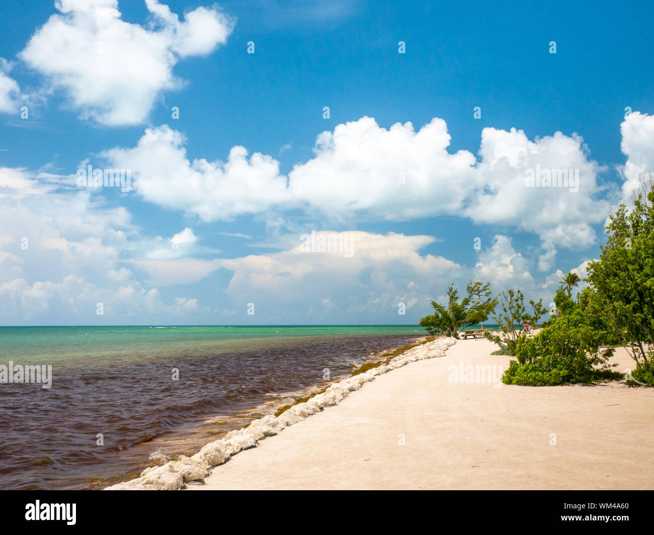 Landschaft von Strand Meer. Bahia Honda State Park. Bahia Honda ist eine Insel in der unteren Florida Keys, USA. Reisen und Ferien. Stockfoto