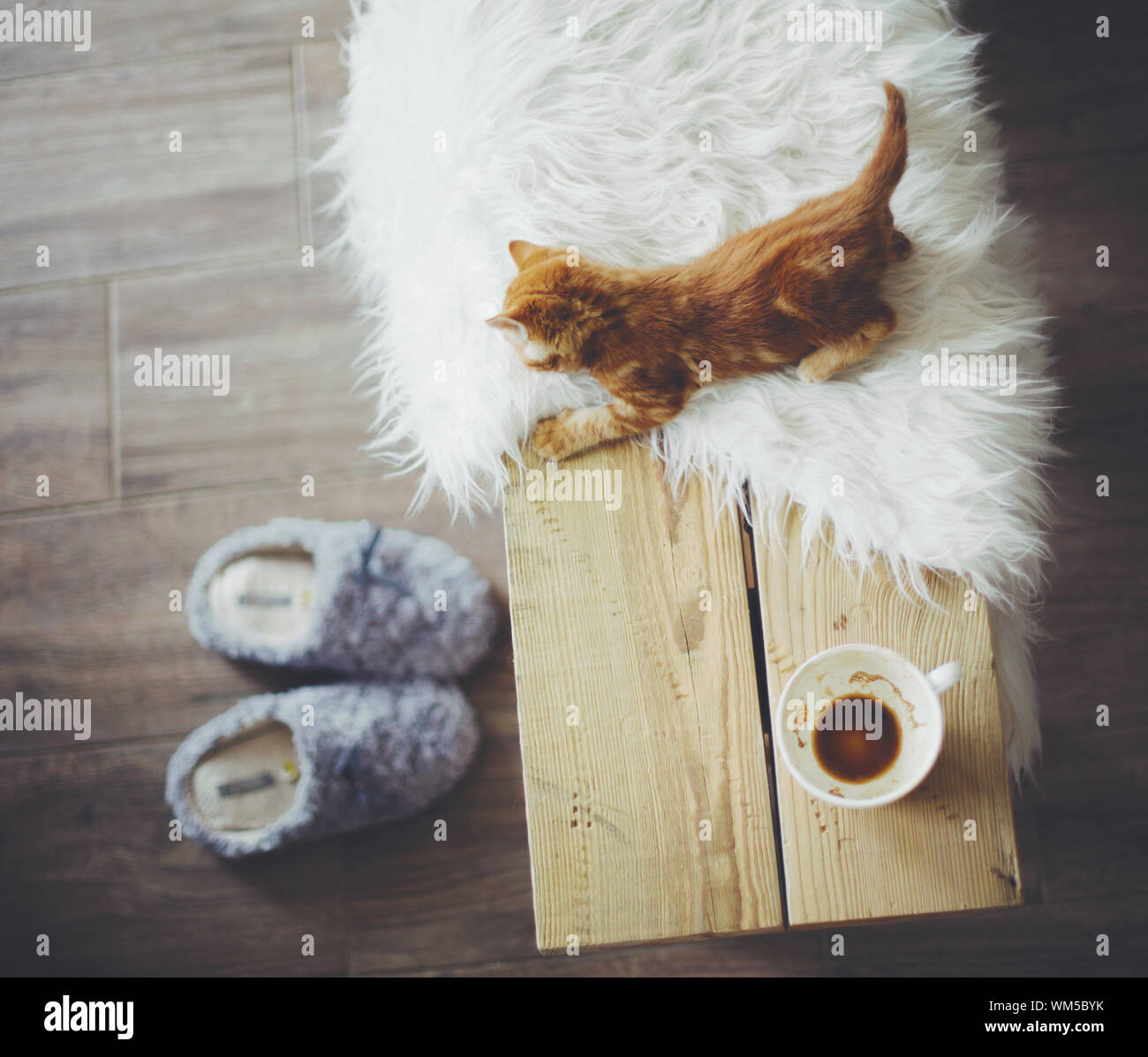 Details der rustikalen Haus Stockfoto