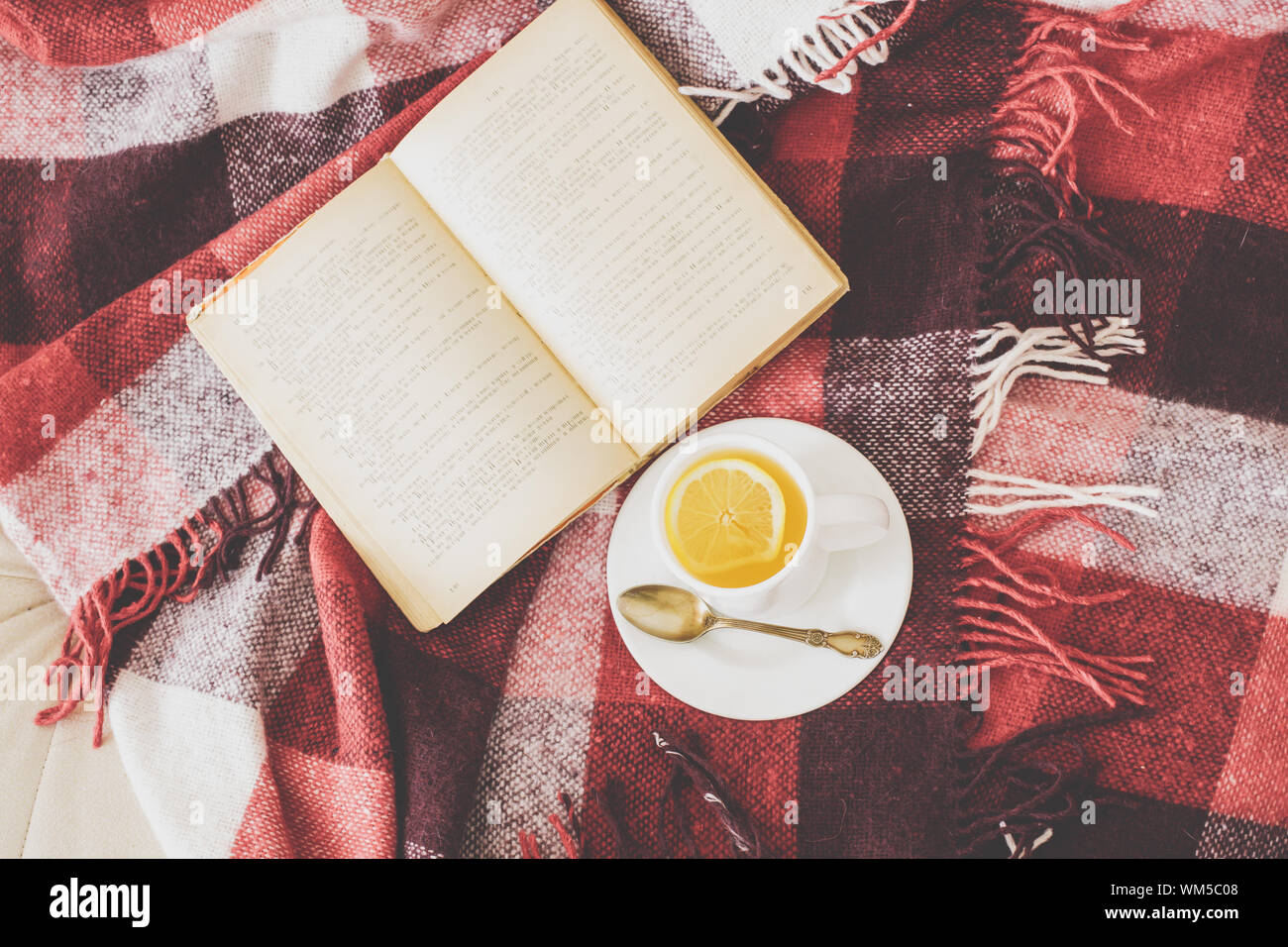 Tee und lesen Stockfoto