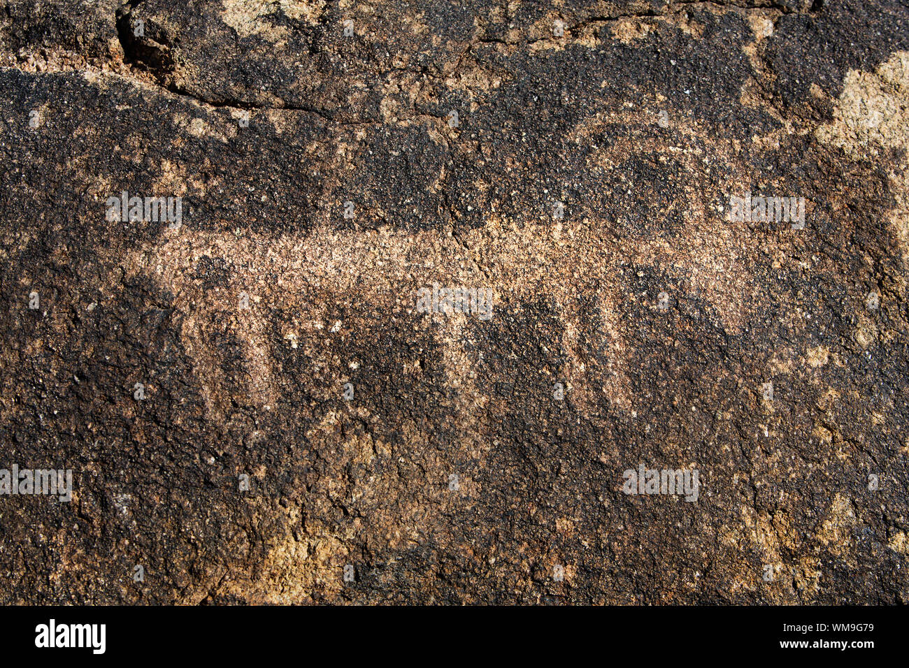 Native American Petroglyph Tierischen im Canyon in der Nähe von Chlorid Arizona Stockfoto