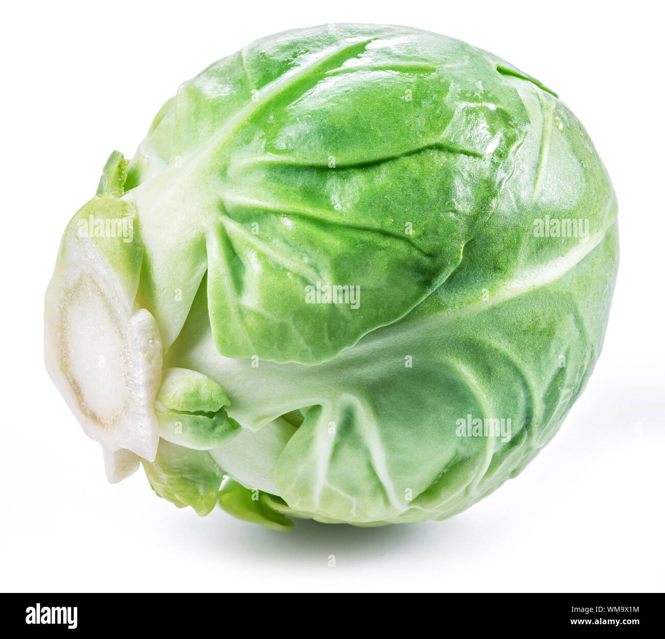 Grüne brussel Sprout auf weißem Hintergrund. Stockfoto