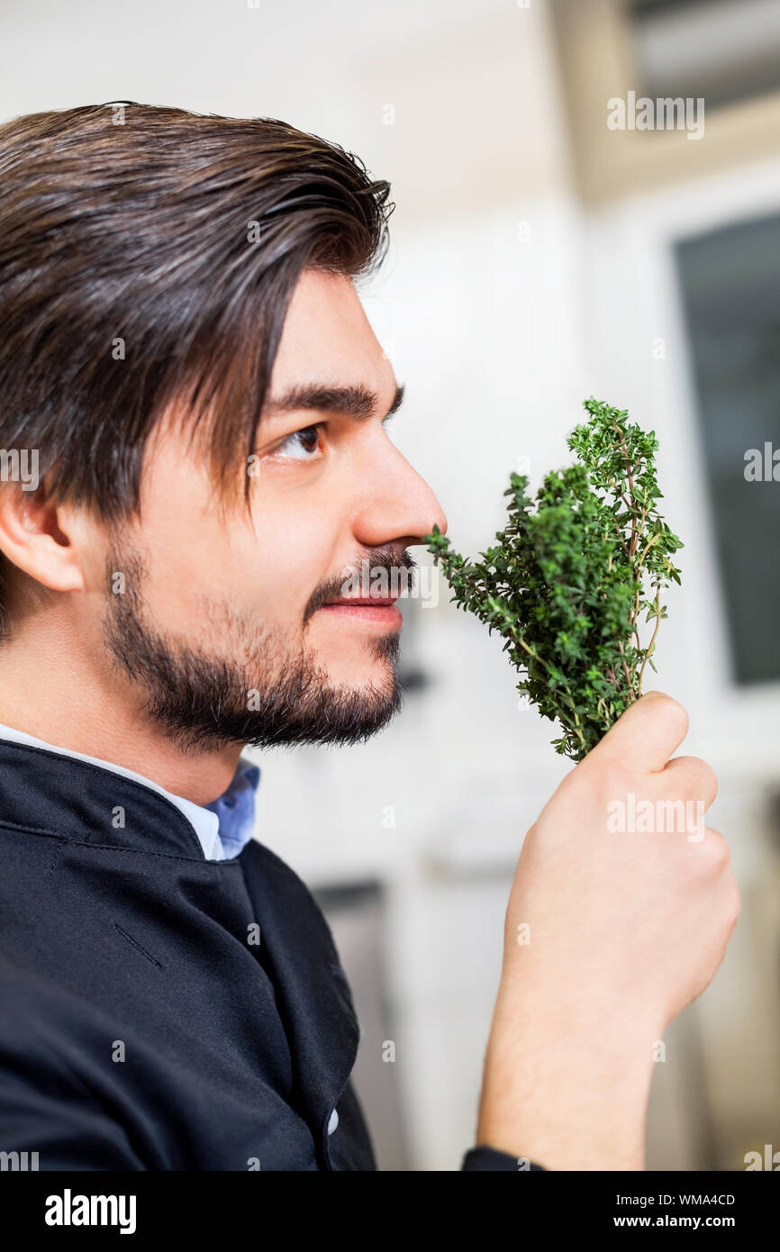 Koch Kontrolle der Frische von ein paar Kräuter Stockfoto