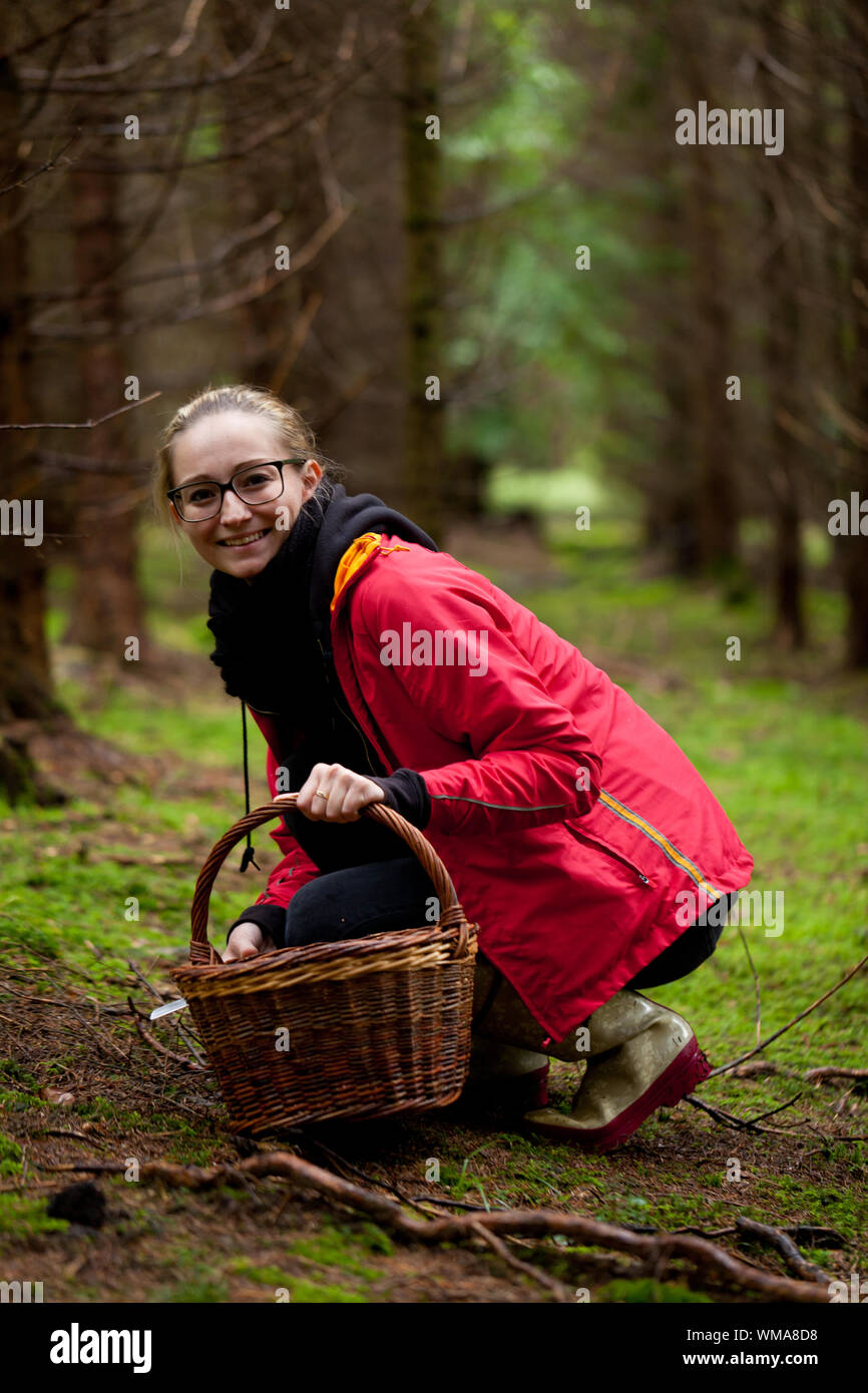 junge Frau, die Pilze im Wald Herbst Natur sammeln Stockfoto