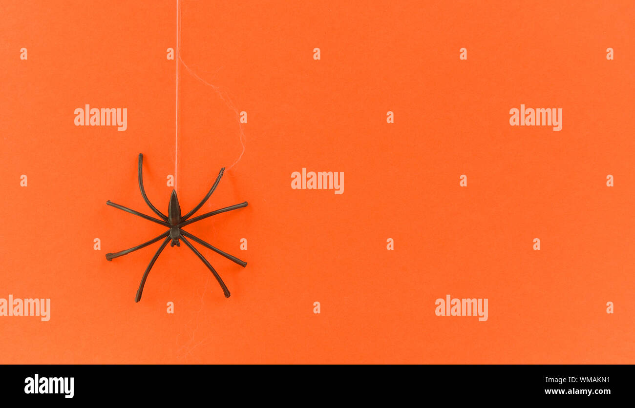 Halloween Hintergrund mit Spinnennetz und schwarze Spinne auf orange Dekorationen Feiertage festliche für Zubehör von Drittanbietern Objekt Konzept Stockfoto