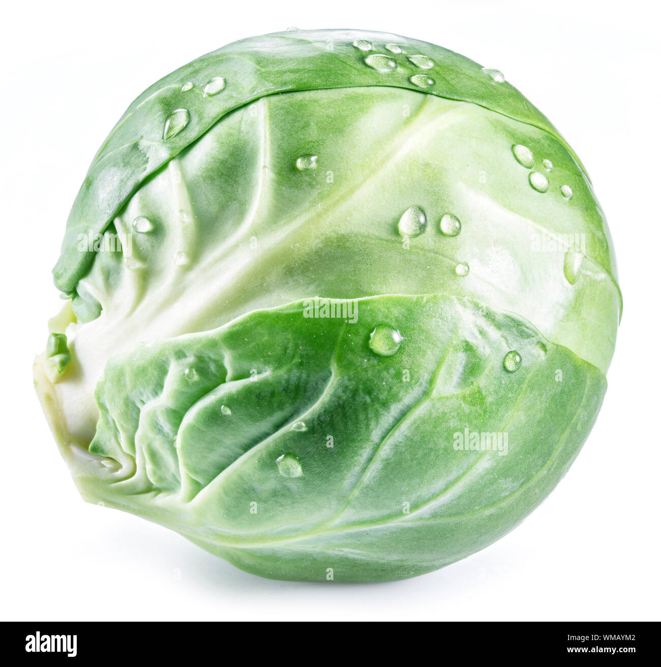 Grüne brussel Sprout mit Wassertropfen auf weißem Hintergrund. Stockfoto