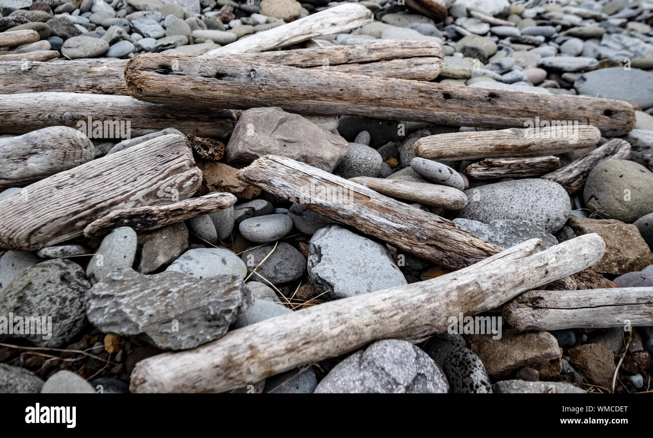 Drift Holz auf einem steinigen Strand in der Nähe von Skagafjord, North Island Stockfoto