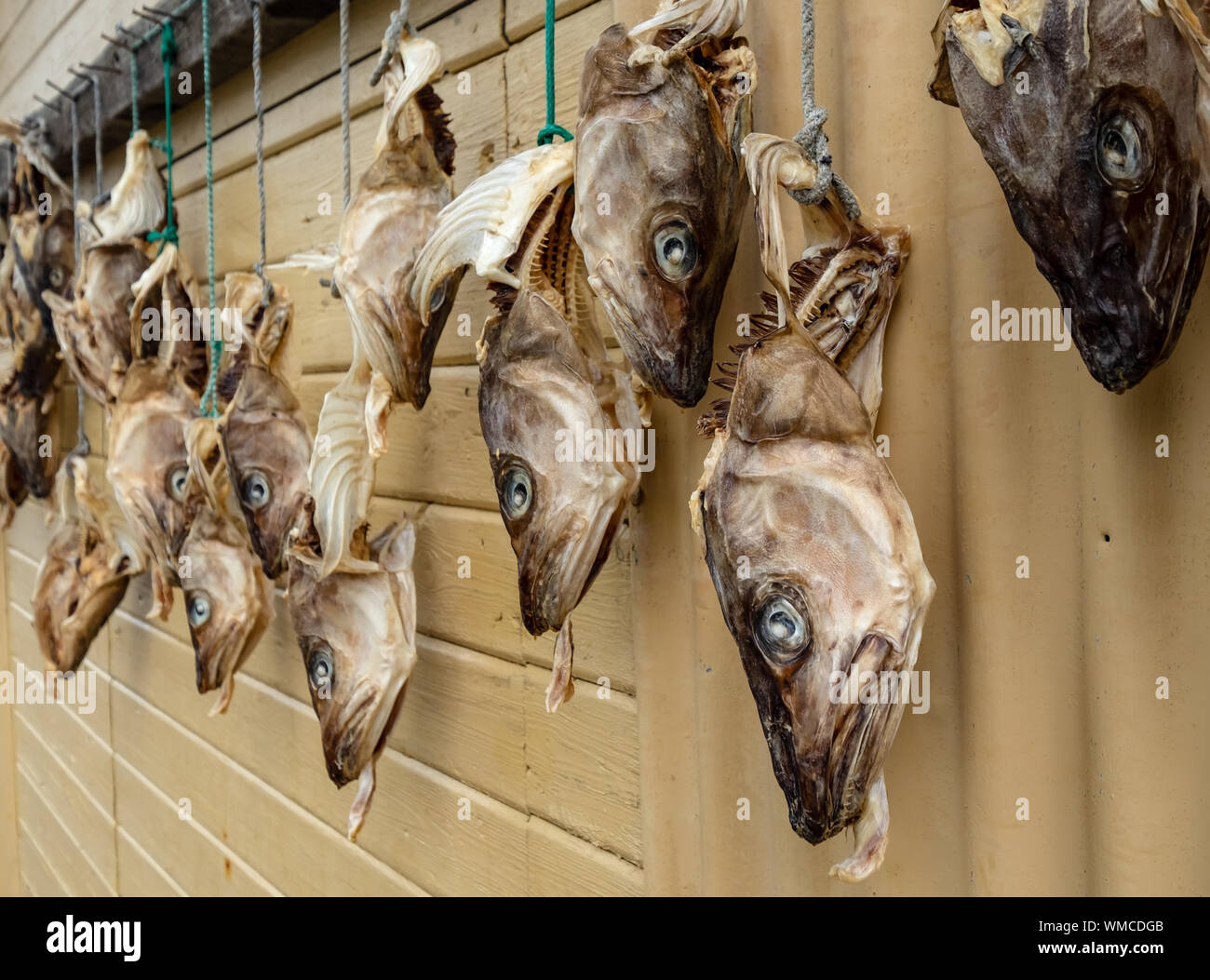 Stockfisch außerhalb eines Holzhauses, nördlich von Island Stockfoto