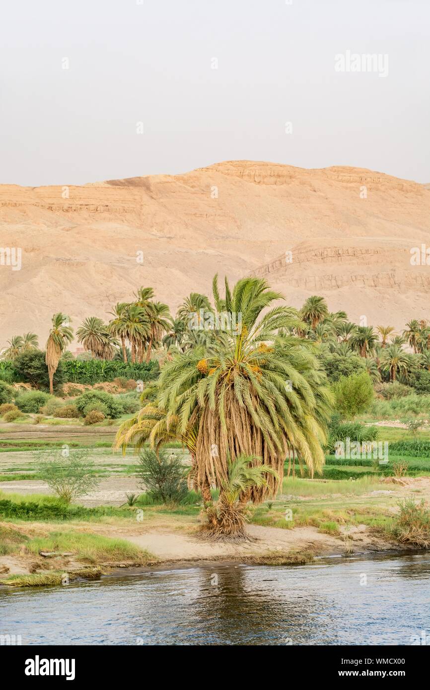 Bank von Nil während der touristischen Kreuzfahrt gesehen, Ägypten Stockfoto