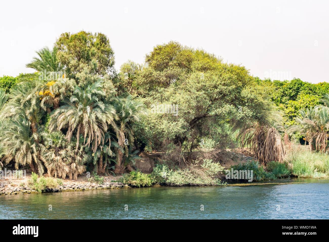 Bank von Nil während der touristischen Kreuzfahrt gesehen, Ägypten Stockfoto